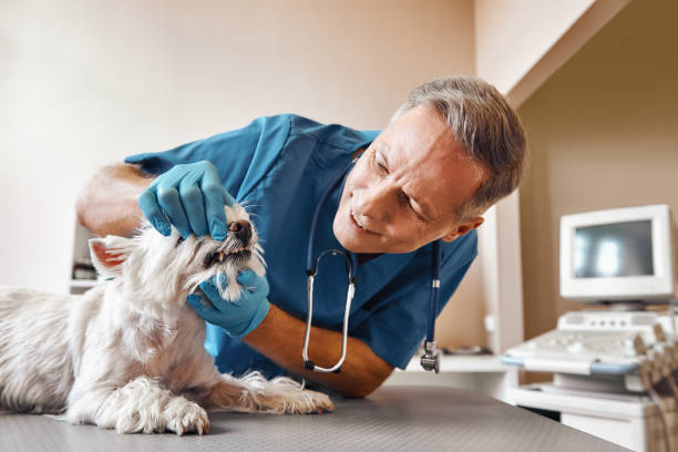 Best Emergency Root Canal Treatment in Lebanon, TN