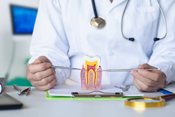 Best Emergency Dentist for Special Needs Patients in Lebanon, TN